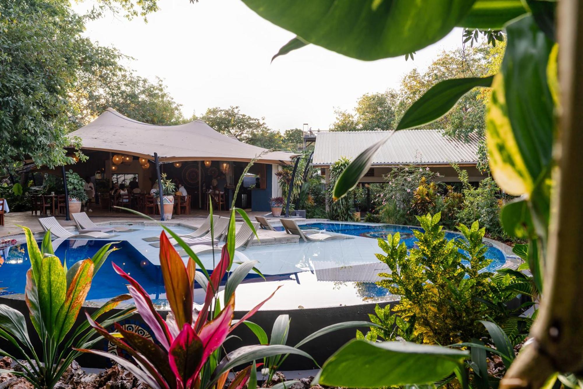 Готель Shongwe Oasis Вікторія-Фоллс Екстер'єр фото
